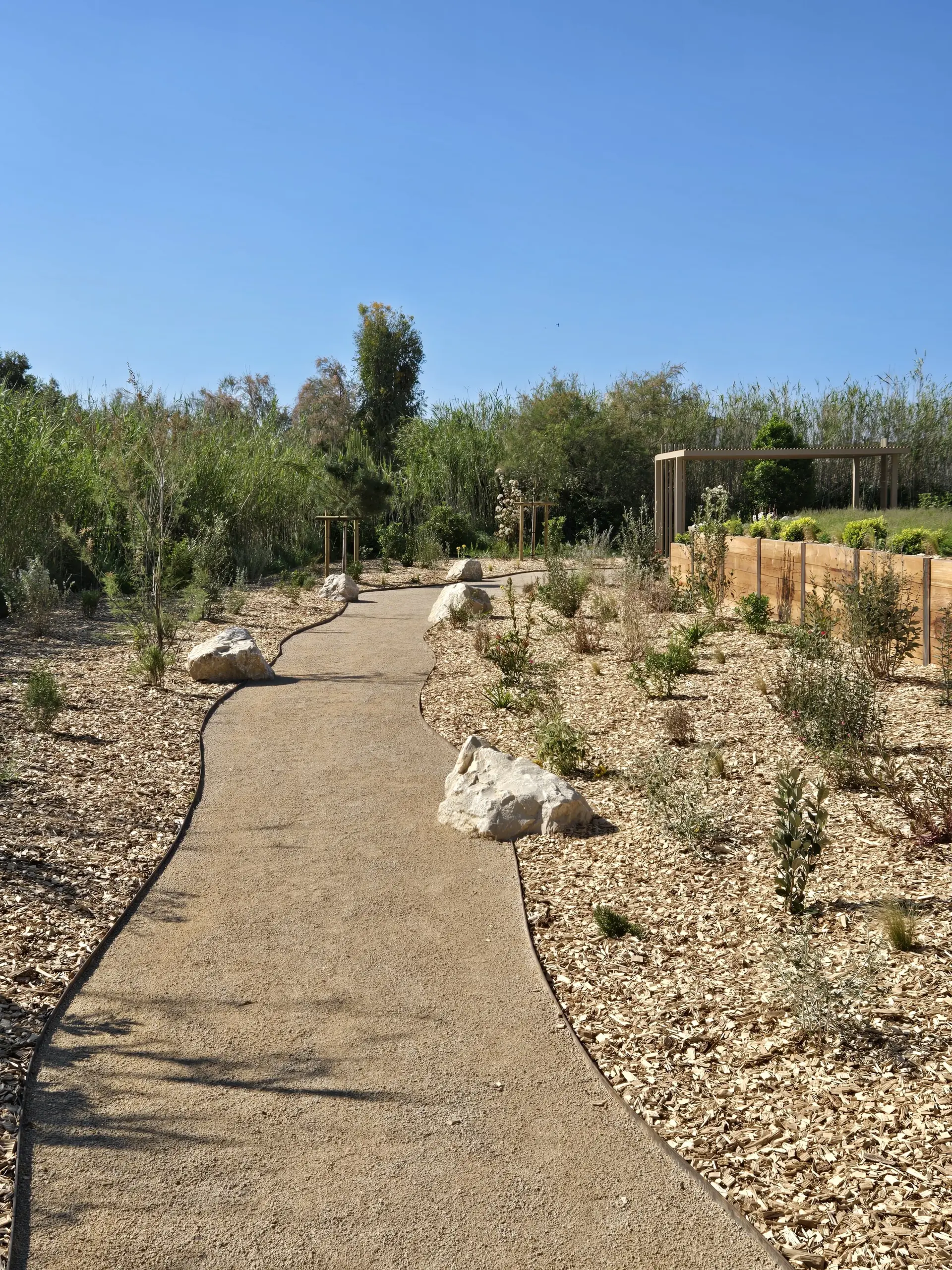 Mas du couvin - jardin paysagé